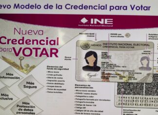 El INE lanza nueva credencial para votar: Cambia su tecnología y permite elegir identidad no binaria