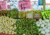 La paradoja del bolsillo: Inflación en México baja a 3.94% pero vivienda y servicios asfixian el gasto familiar