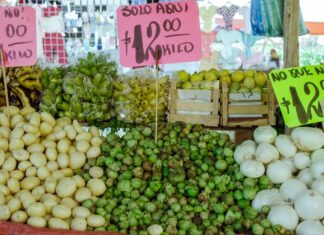 La paradoja del bolsillo: Inflación en México baja a 3.94% pero vivienda y servicios asfixian el gasto familiar