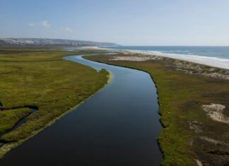 Frontera tóxica: California inyecta 46 mdd para frenar crisis del río Tijuana ante inacción federal
