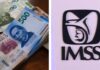 Fin a la desigualdad del IMSS: Padres de trabajadores fallecidos logran cobrar hasta 90% de pensión