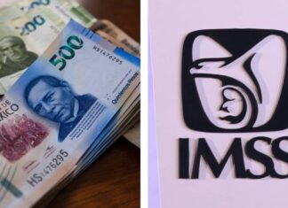 Fin a la desigualdad del IMSS: Padres de trabajadores fallecidos logran cobrar hasta 90% de pensión