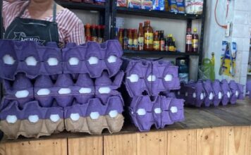 Ciudadanos celebran baja en el precio del huevo; aseguran que no se veía tan accesible desde hace años