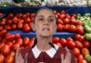 Sheinbaum pacta con productores de 18 estados para bajar el precio del tomate en México