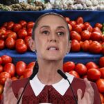 Sheinbaum pacta con productores de 18 estados para bajar el precio del tomate en México