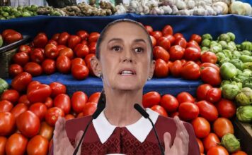 Sheinbaum pacta con productores de 18 estados para bajar el precio del tomate en México