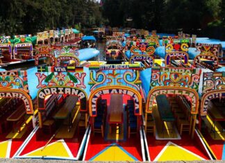 Frenan el neón en Cuemanco: Sedema prohíbe fiestas nocturnas con alcohol y ruido en trajineras de Xochimilco