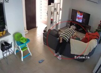 Del mitin a la agresión doméstica: Exhiben en video al titular del INEEL y exdirector de Pemex golpeando a su esposa
