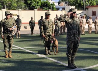 Fin del servicio activo en Mazatlán: La Marina despide con honores militares a Matt, el canino especialista en narcóticos