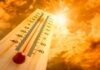 El calor golpea a Sinaloa: Salud confirma 15 casos por temperaturas extremas