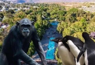 ¡Entrada GRATIS! Zoológico Guadalajara lanza promociones especiales durante junio