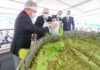 Jalisco rompe récord mundial con el guacamole más grande jamás preparado