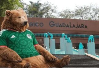 Zoológico Guadalajara apuesta por México: regalará entradas si vence a Chequia