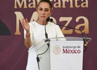 EE. UU. levanta el bloqueo al ganado mexicano tras casi 20 meses: Sheinbaum confirma fecha de reapertura fronteriza