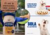De la “funa” al marketing: Marcas se burlan de Pedro Sola tras su polémica con los perros