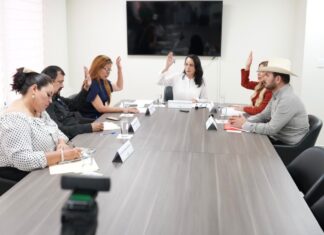 Alerta ganadera en Sinaloa: confirman tres casos de gusano barrenador y el Congreso busca recursos para frenar la plaga