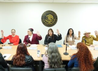 Congreso de Sinaloa analiza permisos laborales para personas cuidadoras