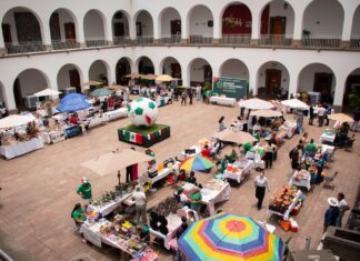 Cerca de 100 emprendedoras llenan de vida el Ayuntamiento en el Bazar Futbolero CLN 2026
