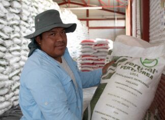Planta de Topolobampo vs. Rusia y China: El proyecto que promete tumbar el costo del fertilizante en México