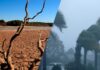Alerta global: El Niño se intensifica a niveles críticos y amenaza con temperaturas récord