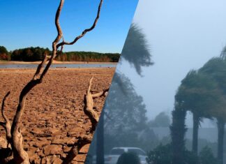 Alerta global: El Niño se intensifica a niveles críticos y amenaza con temperaturas récord