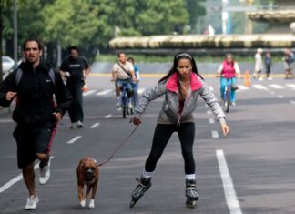 El fin de los nietos: parejas DINKWAP sustituyen los nacimientos en México por el gasto en “perrihijos”