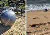El mar desata la alerta científica en Australia: hallan seis misteriosas esferas metálicas en Forrest Beach