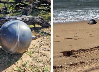 El mar desata la alerta científica en Australia: hallan seis misteriosas esferas metálicas en Forrest Beach
