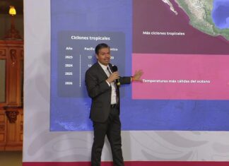 Celulares bajo alerta: El Gobierno federal enviará mensajes de emergencia ante el embate de “El Niño” muy fuerte