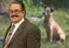 “Quítenmelo de aquí”: Reviven presunto empujón de Pedro Sola a Pay de Limón, el perro sobreviviente de Los Zetas