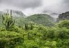 Alerta por lluvias de hasta 50 mm en el norte y la sierra de Sinaloa por el monzón mexicano