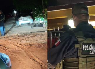 Ataque armado contra mascotas en Ahome deja un perro muerto y tres heridos en el ejido Jesús García