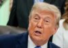 Trump amenaza con arancel a la lechuga mexicana mientras México descarta presencia de parásito
