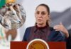 EE. UU. reabre la frontera al ganado mexicano tras más de un año de bloqueo por el gusano barrenador