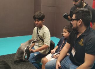 Abre interacción directa con tres pingüinos Humboldt en el Gran Acuario Mazatlán: así puedes tocarlos y alimentarlos