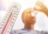 Por qué las olas de calor provocan irritabilidad y alteran la función del cerebro, según la UNAM