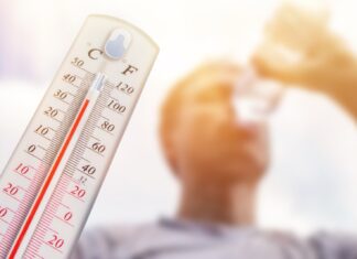 Por qué las olas de calor provocan irritabilidad y alteran la función del cerebro, según la UNAM