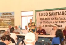 Golpe al campo: Productores de mango en Los Cabos enfrentan severa caída en sus cosechas debido a las altas temperaturas