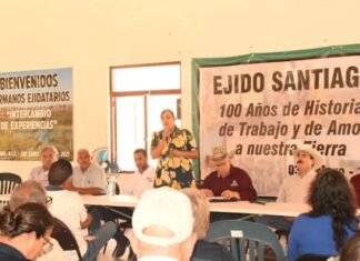 Golpe al campo: Productores de mango en Los Cabos enfrentan severa caída en sus cosechas debido a las altas temperaturas