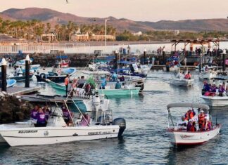 Gran avance en el mar: Participación femenina crece un 30% en la pesca deportiva de Baja California Sur