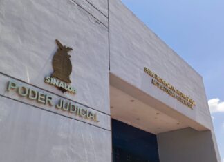 Prisión preventiva para Leonel Paúl “N” por matar a un perro con un rifle de diábolos en Ahome