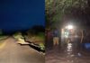 110 milímetros de lluvia paralizan Mocorito: carreteras trozadas y 14 evacuados por crecida de arroyos