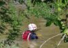 Tragedia al sur de Culiacán: automóvil cae al canal San Lorenzo tras salir de La Primavera; hay un muerto y un rescatado