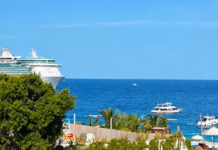 Proyección histórica: El turismo de cruceros se dispara en Los Cabos con una expectativa del 17% más de arribos