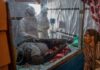 La ONU alerta: brote de ébola podría costarle a África hasta 3 mil 600 mdd