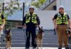 Binomios K9 de Nuevo León encuentran con vida a sobreviviente del terremoto en Venezuela