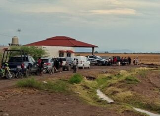 Tragedia en Guasave: un rayo mata a un hombre y a su caballo en la sindicatura de Nío
