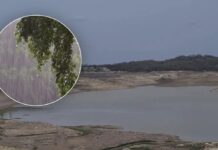 Las lluvias comienzan a dar respiro a las presas de Sinaloa