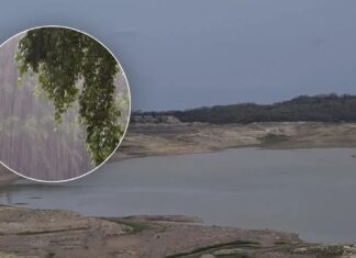 Las lluvias comienzan a dar respiro a las presas de Sinaloa