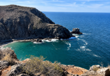 Galardón ambiental: La Paz suma seis playas certificadas Playas Platino con la integración de Punta Lobos